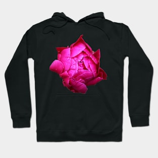 Peony Hoodie